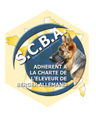 scba