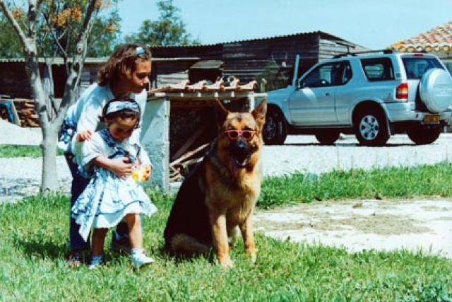 Loading Image