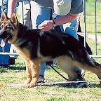 SELTIK-1.jpg